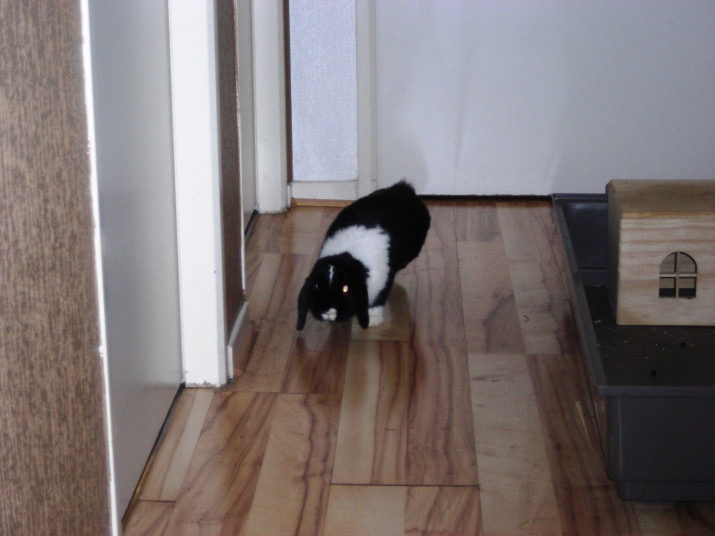 DSCN3682.JPG