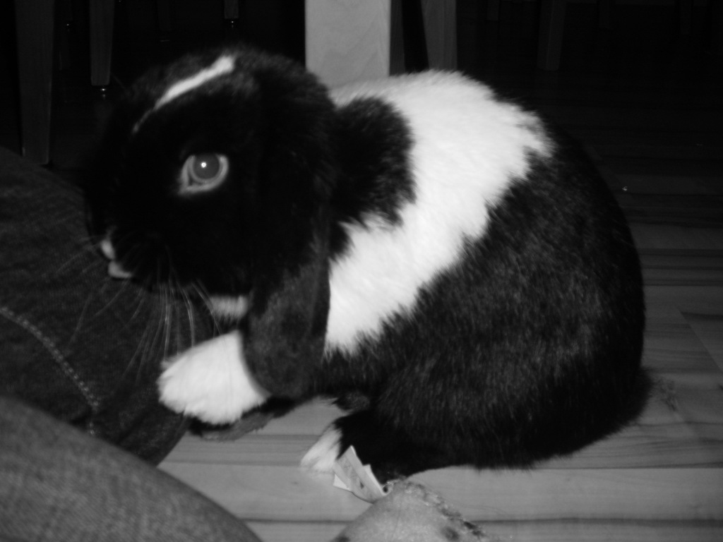 DSCN3870.JPG