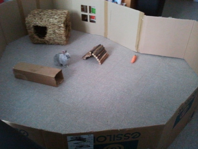 2013-02-24 15.10.58.jpg