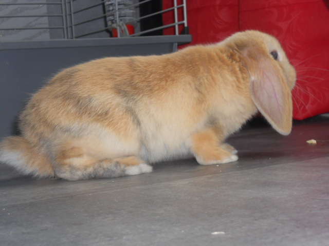 DSCN2181.JPG