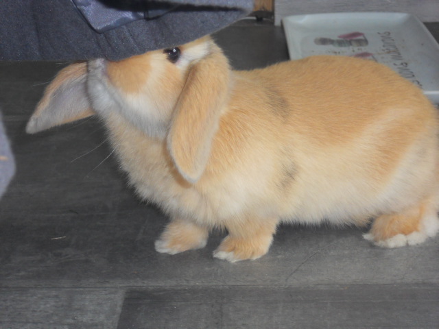 DSCN2186.JPG