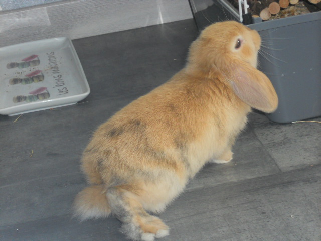 DSCN2192.JPG