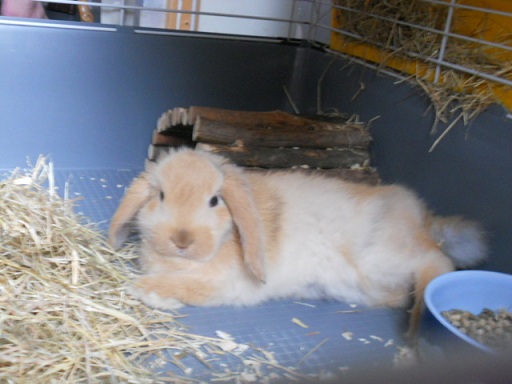 DSCN2307.JPG