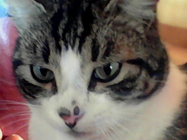 Snapshot_20121023_4.JPG