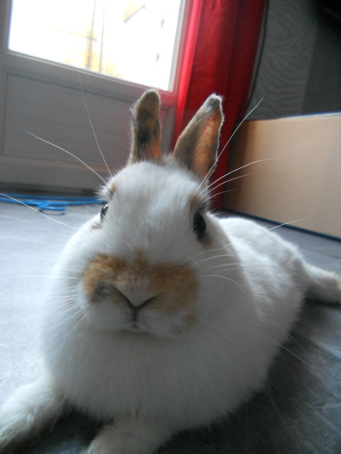 DSCN2236.JPG