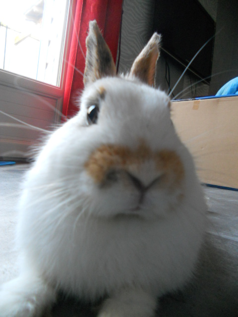DSCN2238.JPG