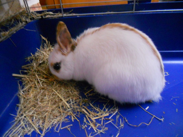 DSCN2314.JPG
