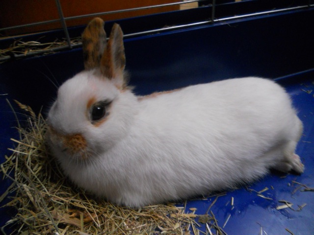 DSCN2320.JPG