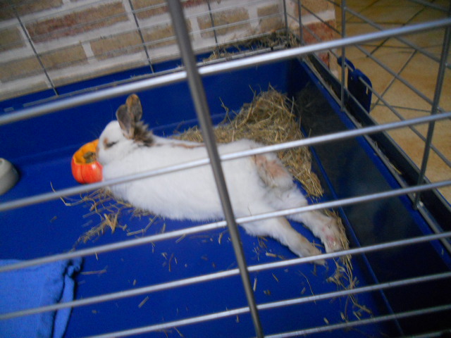 DSCN2324.JPG
