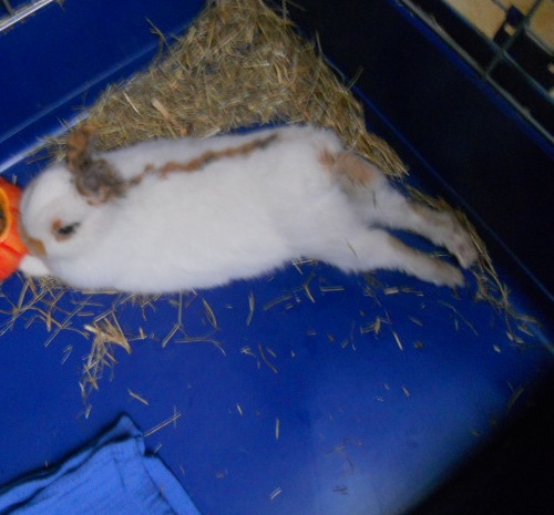 DSCN2325.JPG