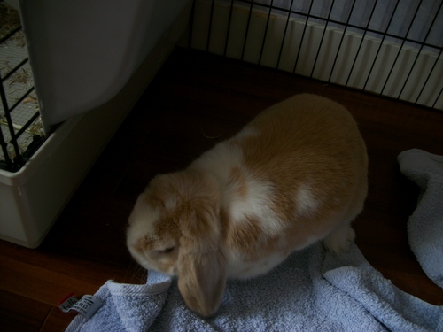 bloggif_5148358d13e5d.jpeg