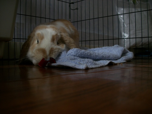 bloggif_514835c224084.jpeg