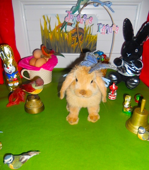 DSCN2391.JPG