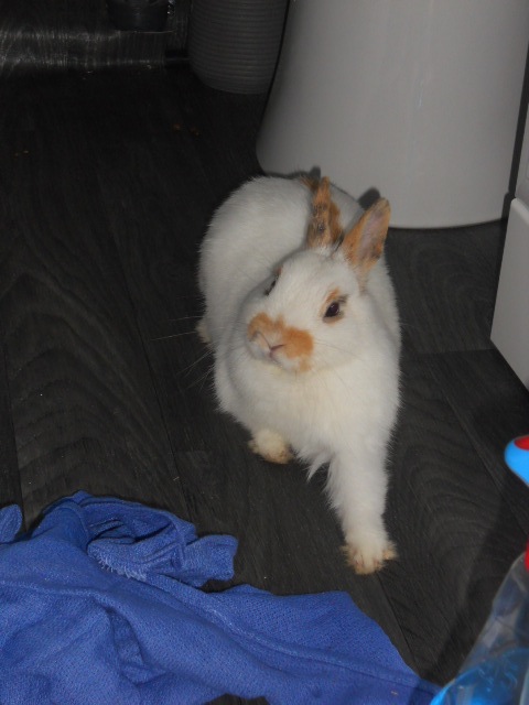 DSCN2352.JPG