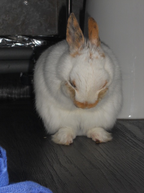 DSCN2356.JPG