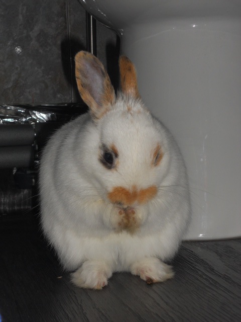 DSCN2357.JPG
