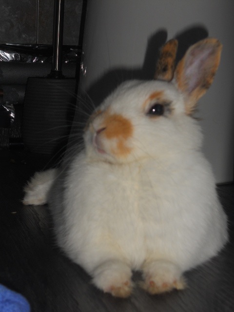 DSCN2358.JPG