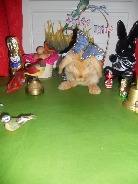 DSCN2387.JPG