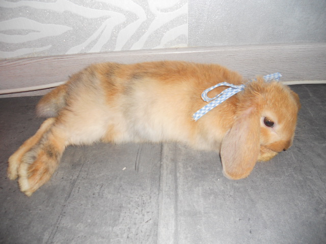 DSCN2380.JPG