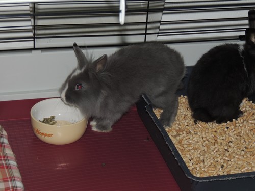 DSCN9623.JPG