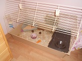 DSCN0276.JPG