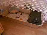 DSCN0277.JPG