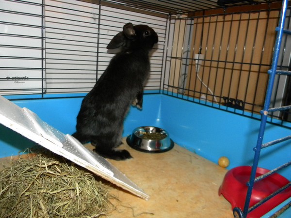 DSCN5473.jpg