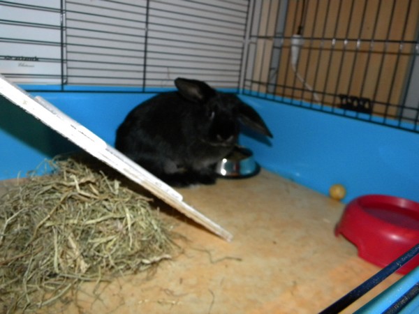 DSCN5474.jpg