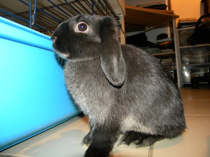 DSCN5480.jpg