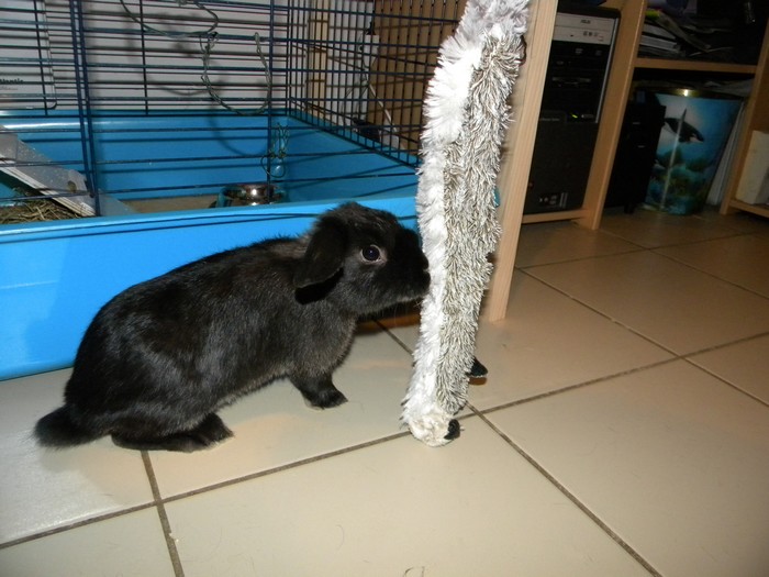 DSCN5486.jpg