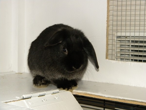 DSCN5518.jpg
