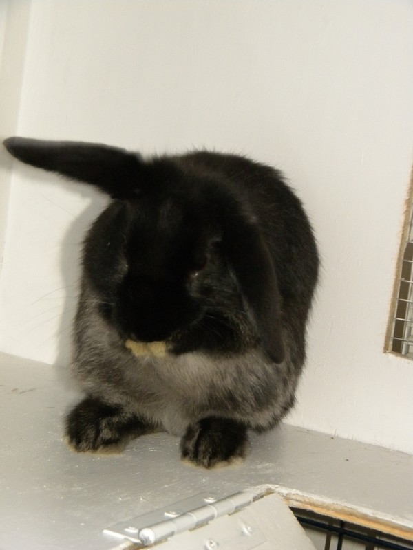 DSCN5527.jpg