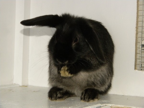 DSCN5528.jpg