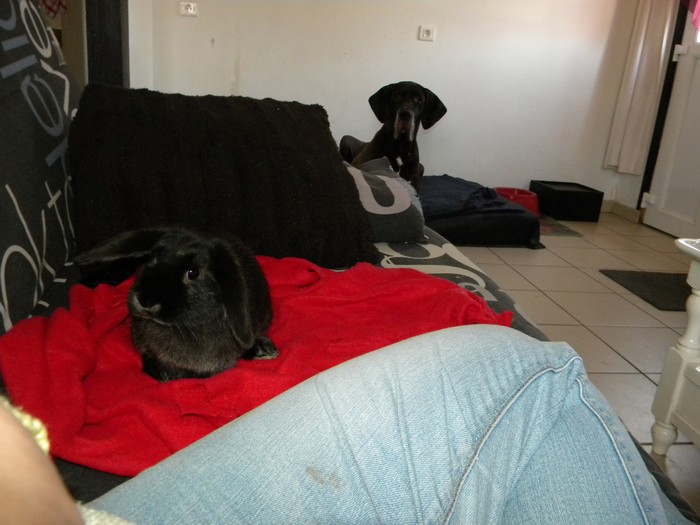 DSCN5565.jpg