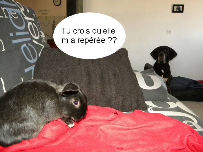 DSCN5568.jpg