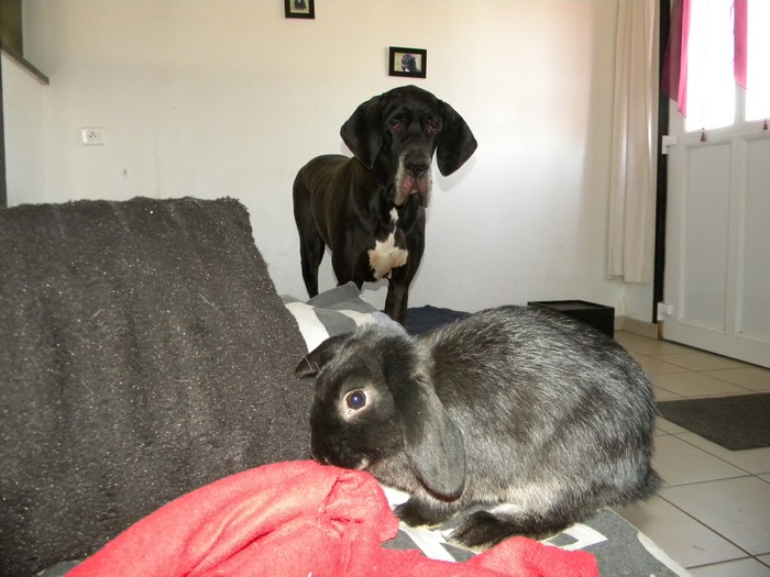 DSCN5578.jpg