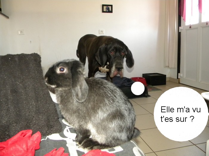 DSCN5579.jpg