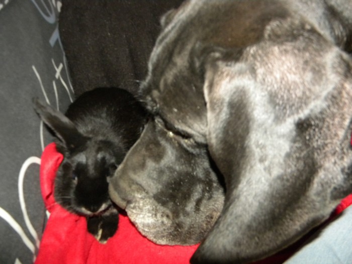 DSCN5582.jpg