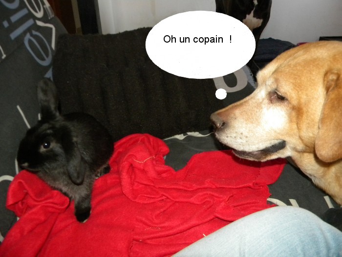 DSCN5588.jpg