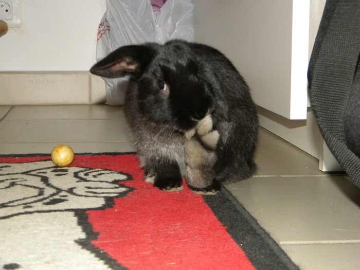 DSCN5675.jpg