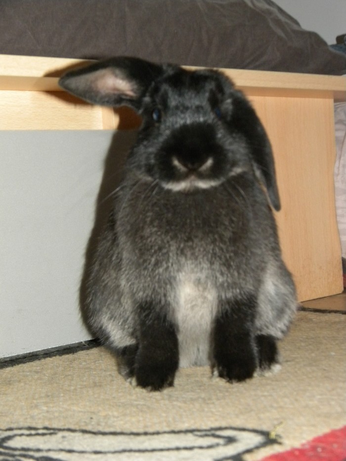 DSCN5686.jpg