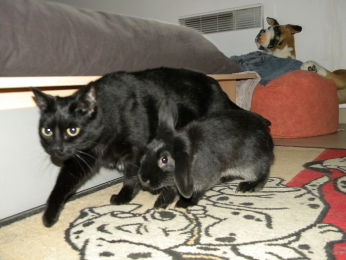 DSCN5664.jpg