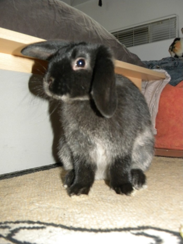 DSCN5690.jpg