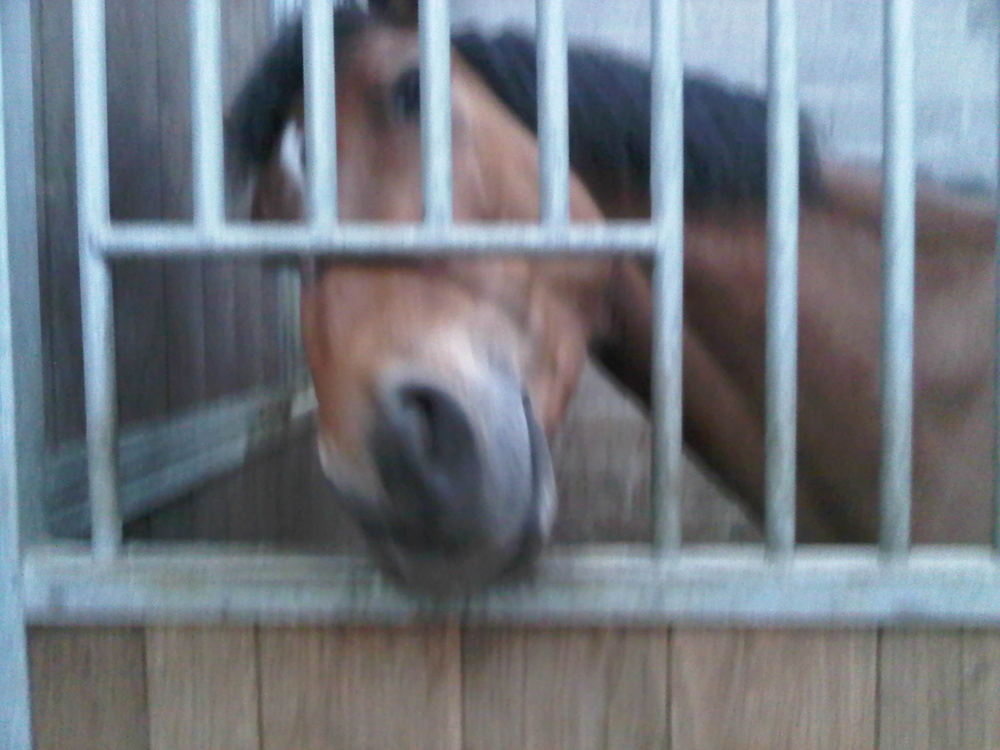 ramses a faim ou veux un bisous !.jpg