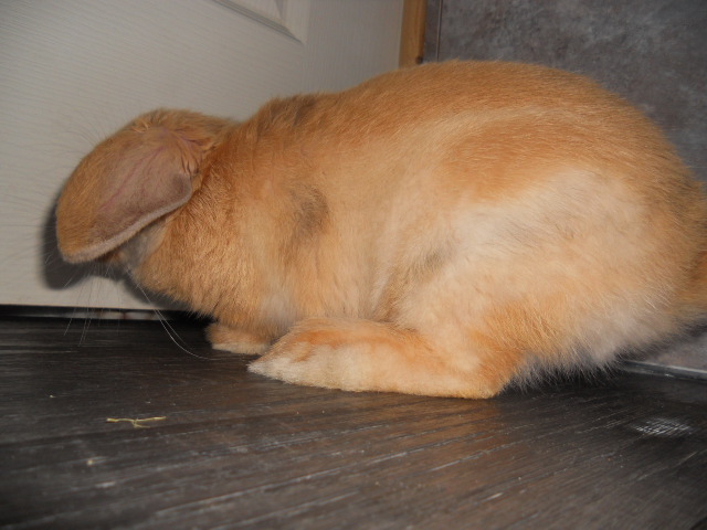 DSCN2538.JPG