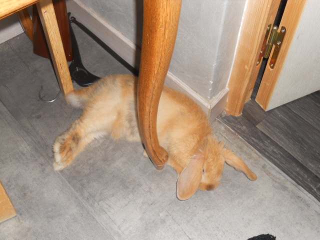 DSCN2548.JPG