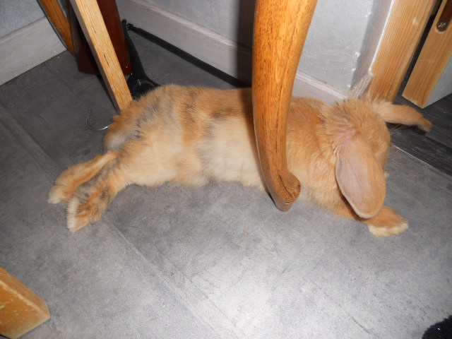 DSCN2549.JPG