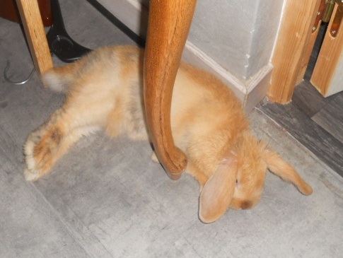 DSCN2548.jpg