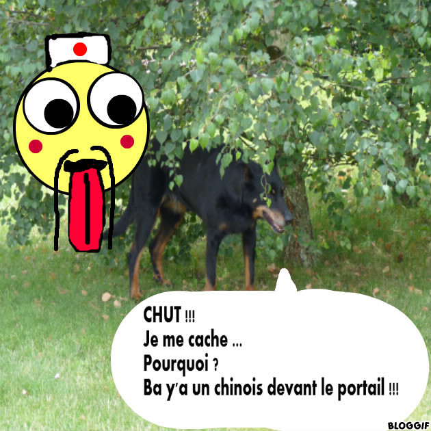 bloggif_516ee63131b54.jpg