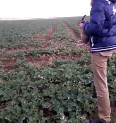SC20130420-175203-1.jpg